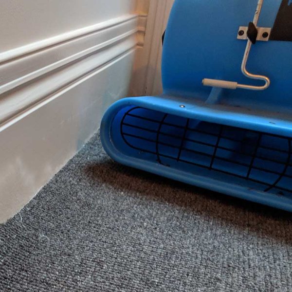 How to Dry a Wet Carpet Fast: A Step-by-Step Guide