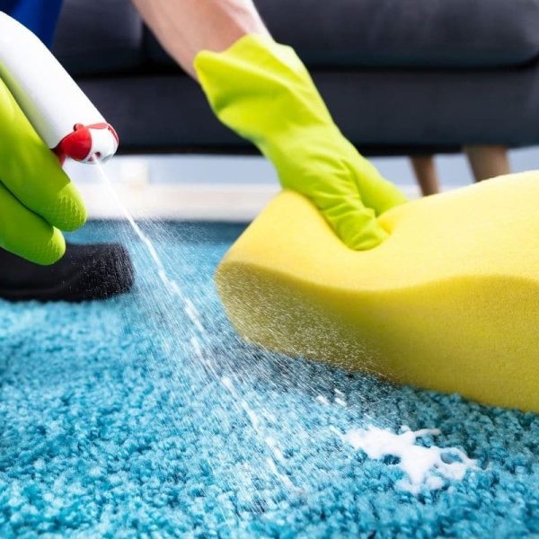 How to Remove Vomit Stains from Carpet