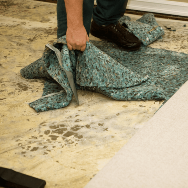 Carpet Mold Removal: Step-by-Step Guide