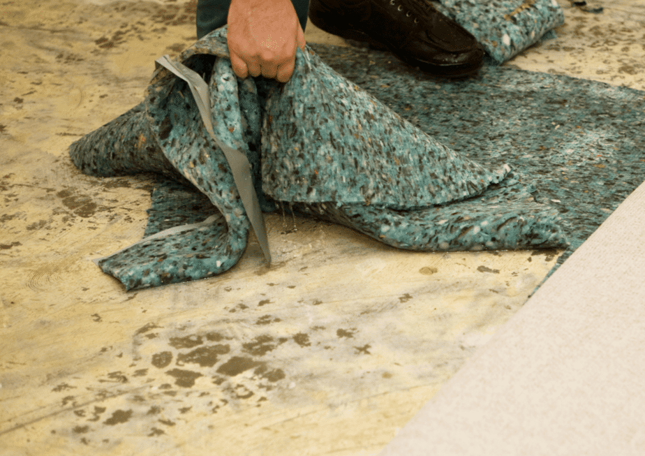 remove mold from carpet