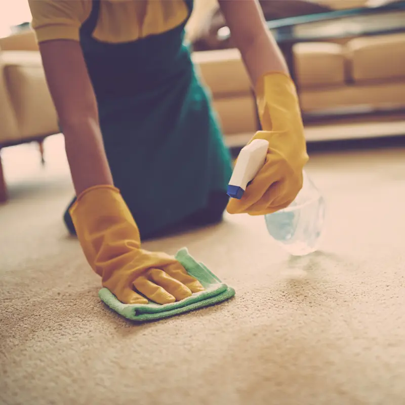 baking soda on carpet