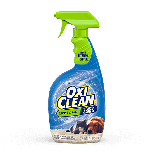 clean dog diarrhea