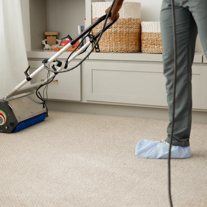 carpet cleaner