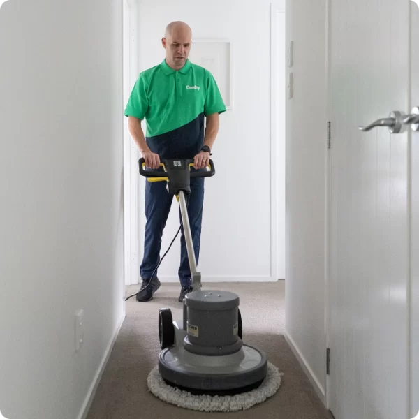 Streamline Carpet Drying Time After Cleaning