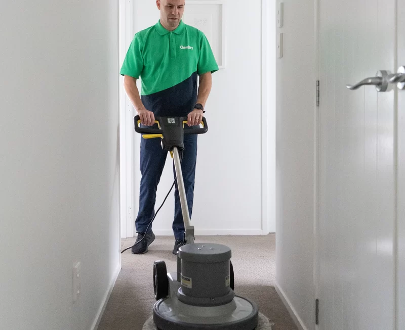 carpet to dry after cleaning