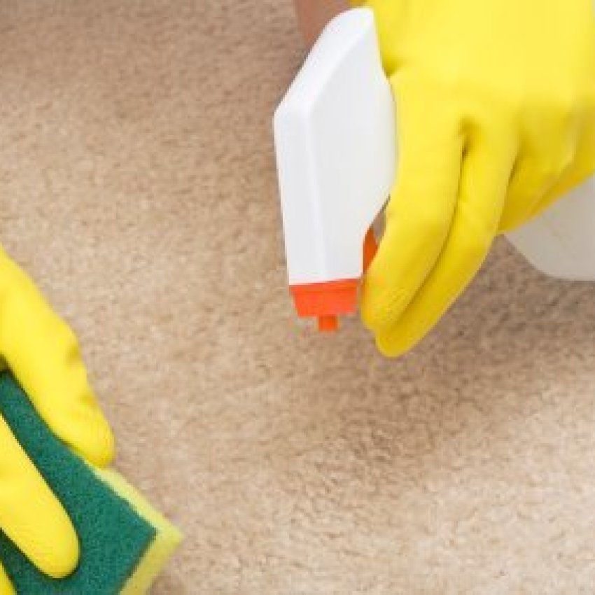 get vomit smell out of carpet