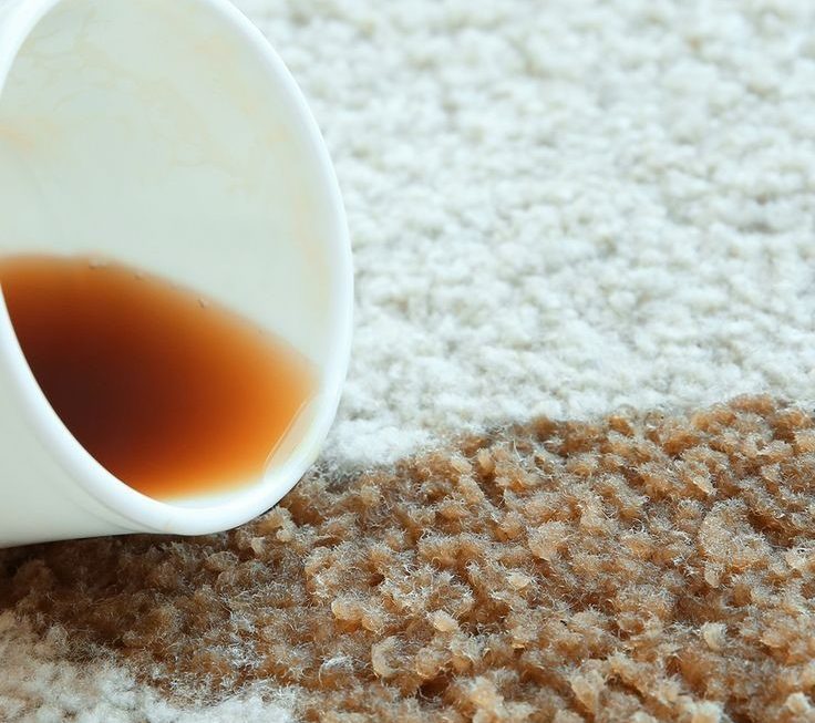 remove coffee stains from carpet