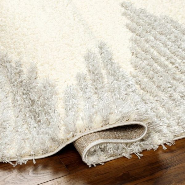 How Long Should Carpet Last: Maximizing Carpet Lifespan