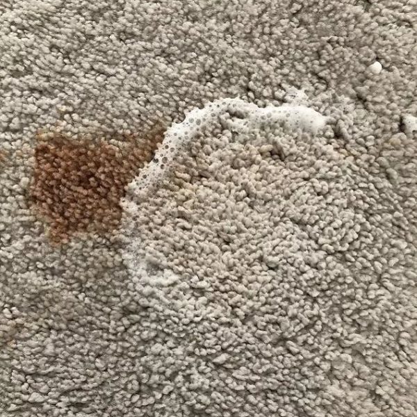 How to Clean Up Vomit on Carpet: A Comprehensive Guide