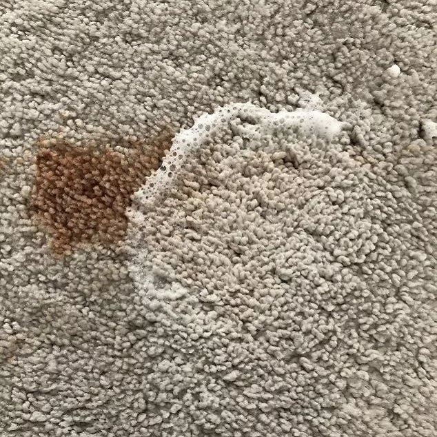 deep cleaning rugs at home